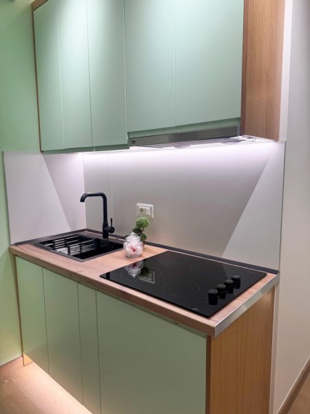 Tirane, jepet me qera garsonier 1+1 Kati 2, 40 m² (Rr Gramoz Pashko)