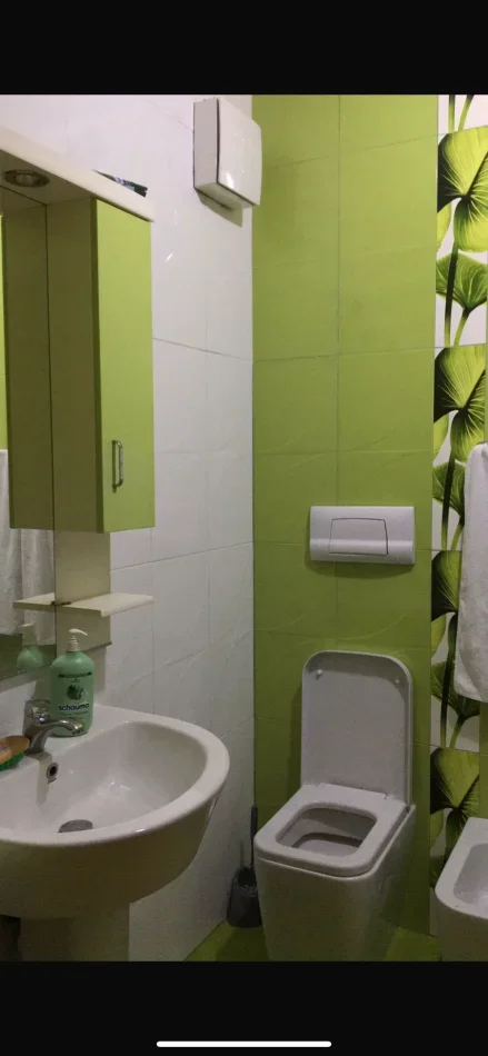 Tirane, jepet me qera apartament 3+1+Ballkon Kati 1, 400 € (Rr.Frosina Plaku)