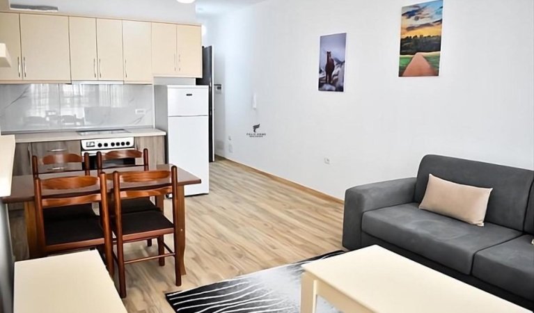 Tirane, jepet me qera apartament 1+1 Kati 5, 69 m² 520 € (LAPRAKE)