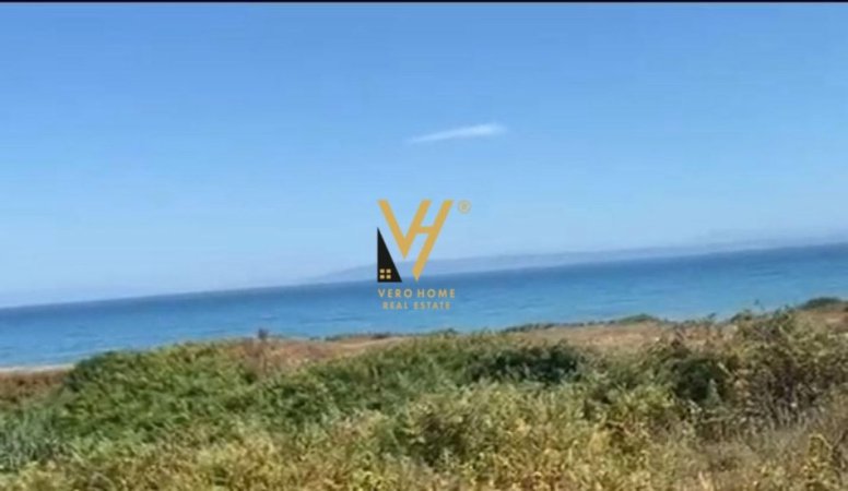 Spille, shitet toke , 2.600 m² 99.000 € (SPILLE)