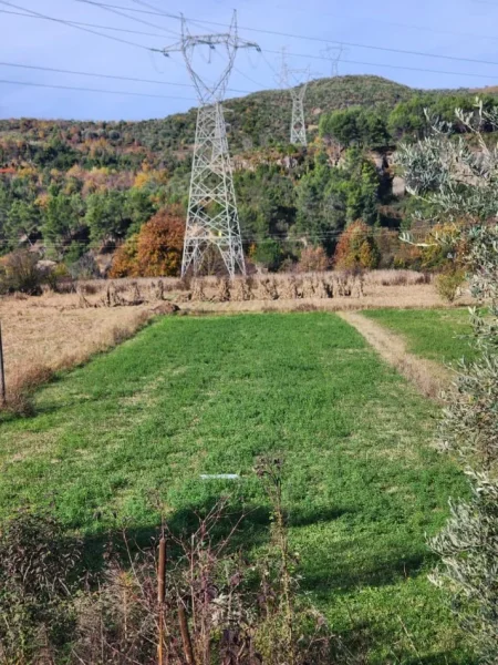 SHITET TOKË ARË : 1400 m² Buzë Rrugës Kryesore || (📍Në Fshatin IBË) || 98,000€ 🏕