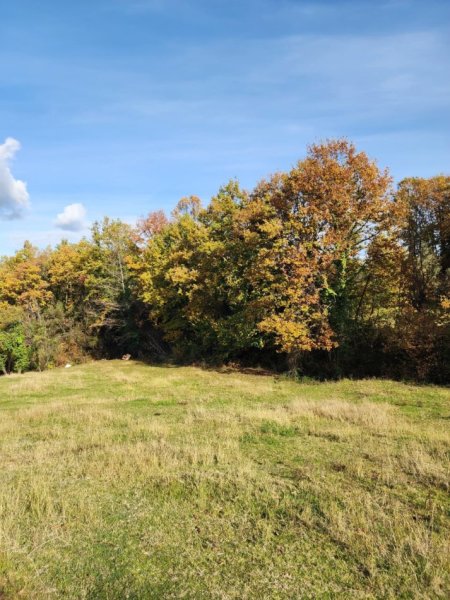 🌍 SHITET: Tokë Arë  1570 m² Brenda në Fshat me Pamje nga Pylli📍Në Fshatin IBË  102,000€ 🏕