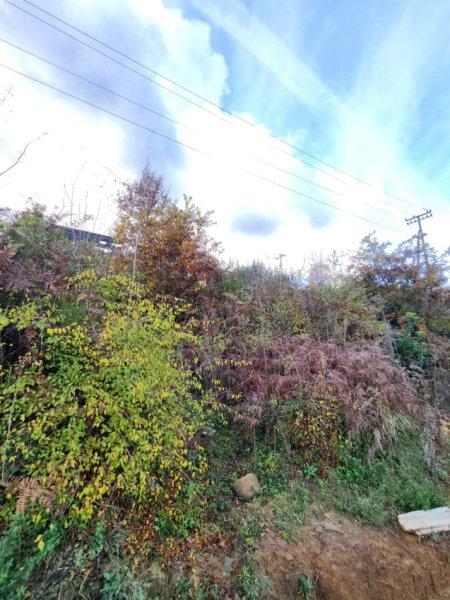 🌍 SHITET: Tokë Arë 604 m² Brenda në Fshat me Pamje nga Pylli & Lumi📍Në Fshatin IBË  39.200€ 🏕