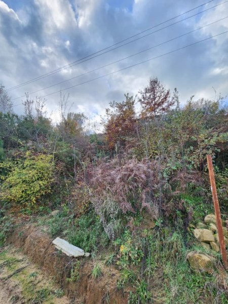 🌍 SHITET: Tokë Arë 604 m² Brenda në Fshat me Pamje nga Pylli & Lumi📍Në Fshatin IBË  39.200€ 🏕