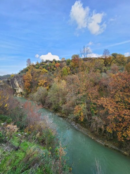 🌍 SHITET: Tokë Arë 604 m² Brenda në Fshat me Pamje nga Pylli & Lumi📍Në Fshatin IBË  39.200€ 🏕
