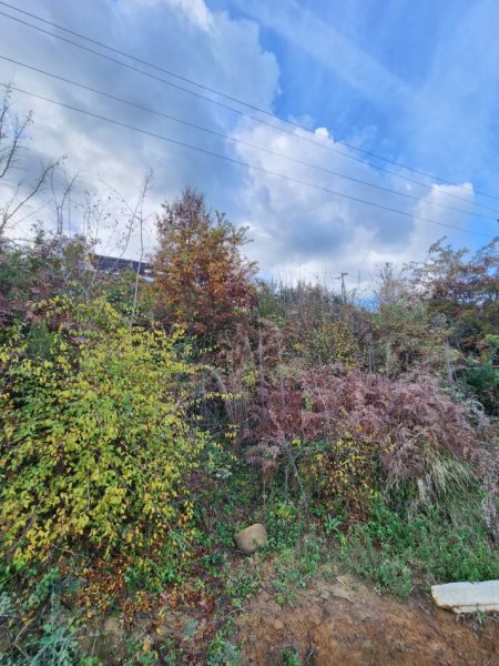 🌍 SHITET: Tokë Arë 604 m² Brenda në Fshat me Pamje nga Pylli & Lumi📍Në Fshatin IBË  39.200€ 🏕