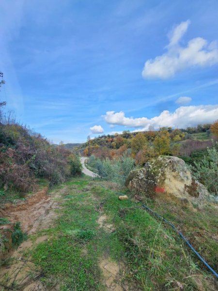 🌍 SHITET: Tokë Arë 604 m² Brenda në Fshat me Pamje nga Pylli & Lumi📍Në Fshatin IBË  39.200€ 🏕