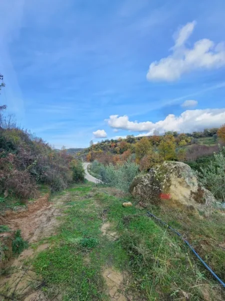 🌍 SHITET: Tokë Arë 604 m² Brenda në Fshat me Pamje nga Pylli & Lumi📍Në Fshatin IBË  39.200€ 🏕