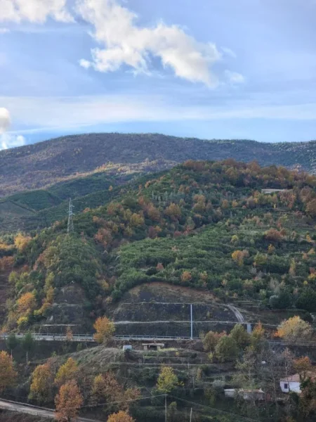 SHITET: Tokë Arë 5000 m² Me Pamje nga Autostrada Tiranë Elbasan📍Në Fshatin IBË  250,000€ 🏕