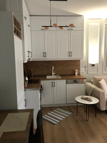 Tirane, jepet me qera 1+1 Kati 4, 600 € 