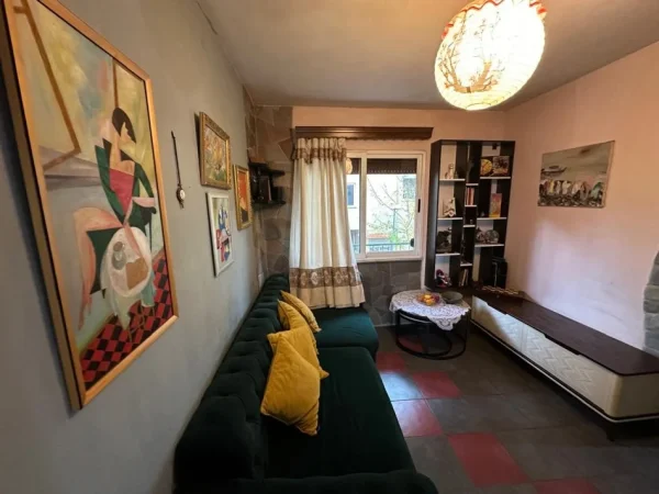 Tirane, jepet me qera Vile 1+1+Ballkon Kati 3, 55 m² 500 € (Pazari i Ri/Tefta Tashko Koco)