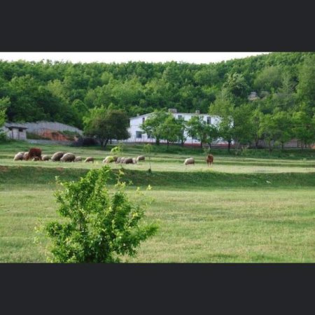 Borsh, shes truall , 1.000 m² 149.000 € (ne Borsh Sarande)