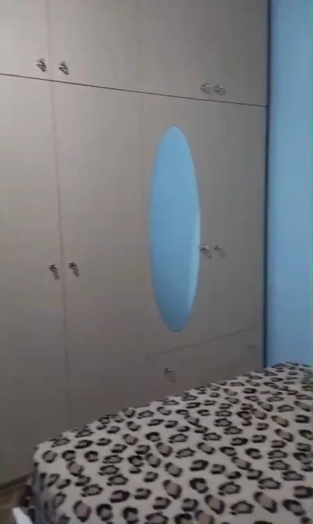 Tirane, jepet me qera apartament 1+1 Kati 3, 300 € (Fresk)