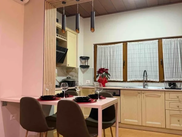 Tirane, jepet me qera apartament 1+1 Kati 2, 600 € (ish parku)