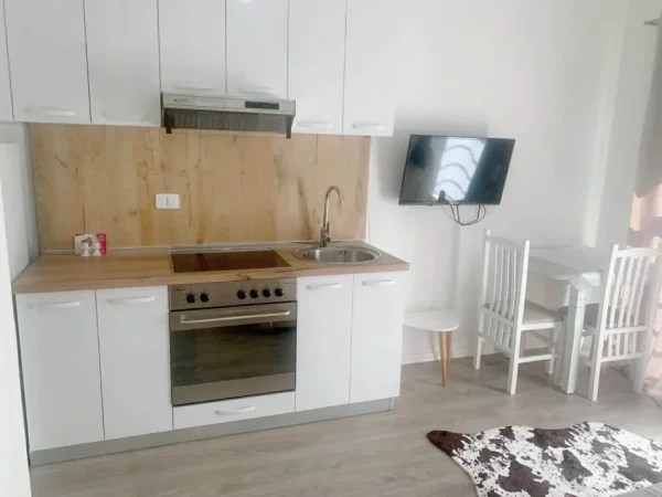 Tirane, jepet me qera apartament 1+1+Ballkon Kati 5, 60 m² 400 € (Ali Demi)