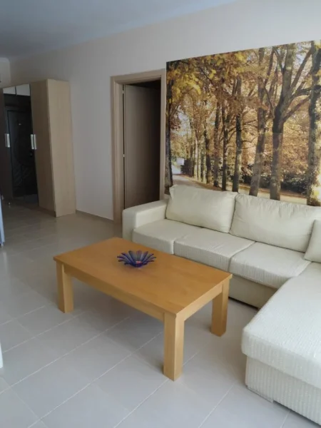 Tirane, jepet me qera apartament 1+1+Aneks+Ballkon , 60 m² 550 € (rruga peti)