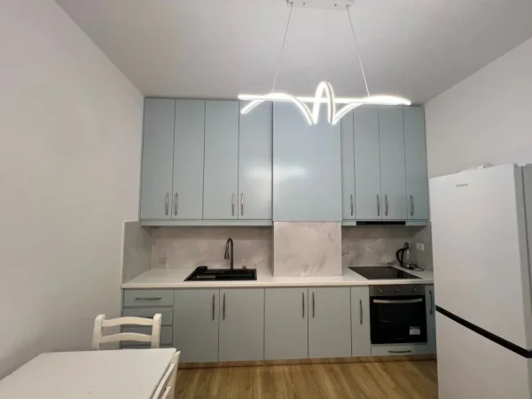 Tirane, jepet me qera apartament 1+1+Aneks+Ballkon Kati 4, 70 m² 600 € (Ish Fusha e Aviacionit " rr. Dafineve")