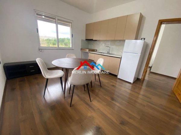 Tirane, jepet me qera apartament 1+1+Ballkon Kati 2, 78 m² 520 € (LIQENI ARTIFICIAL)
