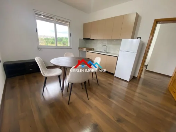 Tirane, jepet me qera apartament 1+1+Ballkon Kati 2, 78 m² 520 € (LIQENI ARTIFICIAL)