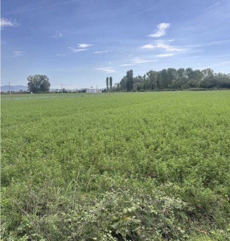 Durres, shitet truall , 9.600 m² 160.000 € (Sukth, Durres)