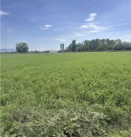 Durres, shitet truall , 9.600 m² 160.000 € (Sukth, Durres)