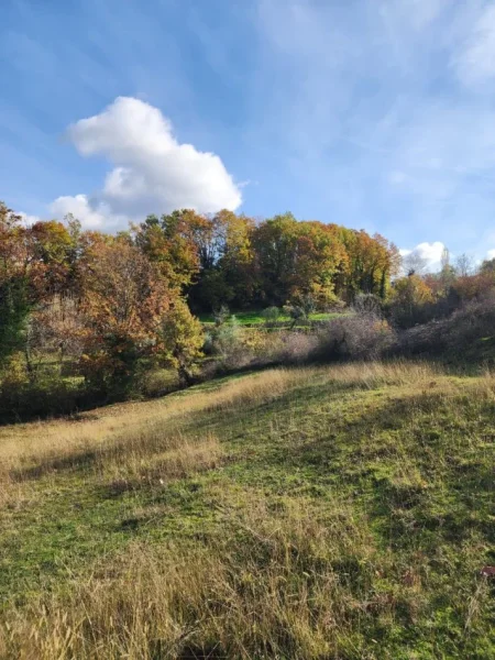 🌍 SHITET: Tokë Arë  1570 m² Brenda në Fshat me Pamje nga Pylli📍Në Fshatin IBË  102,000€ 🏕