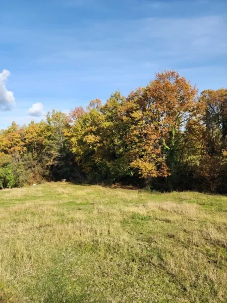 🌍 SHITET: Tokë Arë  1570 m² Brenda në Fshat me Pamje nga Pylli📍Në Fshatin IBË  102,000€ 🏕