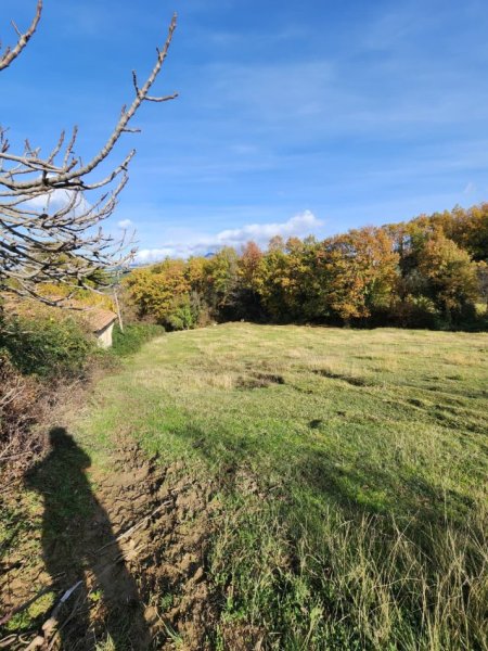 🌍 SHITET: Tokë Arë  1570 m² Brenda në Fshat me Pamje nga Pylli📍Në Fshatin IBË  102,000€ 🏕