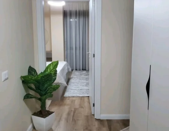 Tirane, jepet me qera apartament 1+1 Kati 3, 67 m² 1.000 € (LIQENI I THATE)