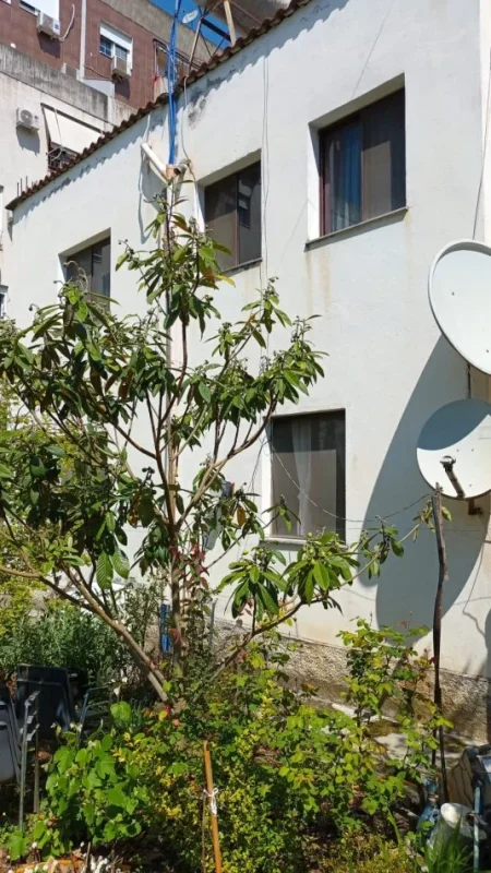 Tirane, shitet nga Pronari, pa-komision Vile 2 Katshe , 850 m² 600.000 € (Rr. Muhamet Deliu)