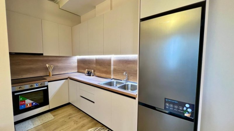 WhatsApp Image 2026-01-11 at 01.23.54_e6fb08ef.jpg