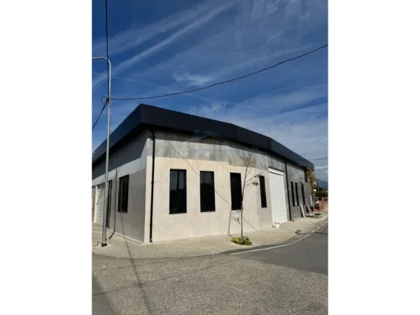 Tirane, jepet me qera Kati 0, 300 m² 1.200 €