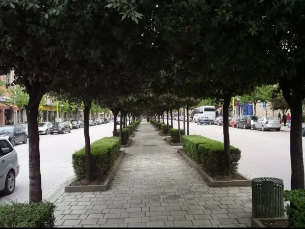 Tirane, shitet ambjent biznesi Kati 0, 61 m² 560.000 € (Bulevardi Zogi I)