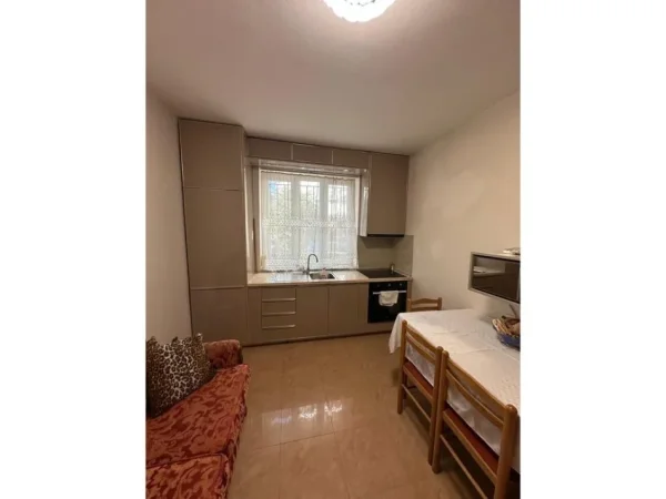 Tirane, jap me qera apartament 1+1+Ballkon Kati 1, 58 m² 550 € (VASIL SHANTO)