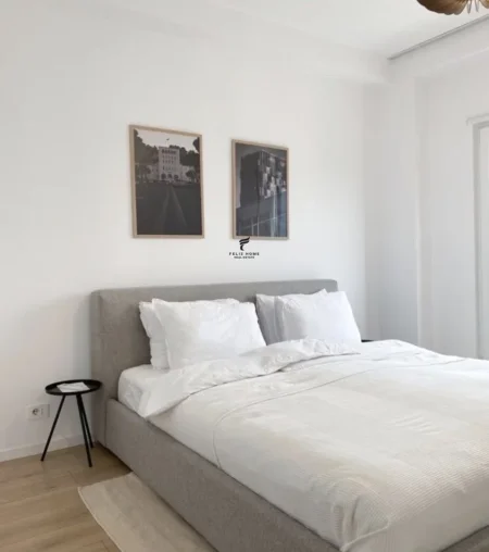 Tirane, jepet me qera apartament 1+1 Kati 1, 65 m² 900 € (stacioni i trenit)