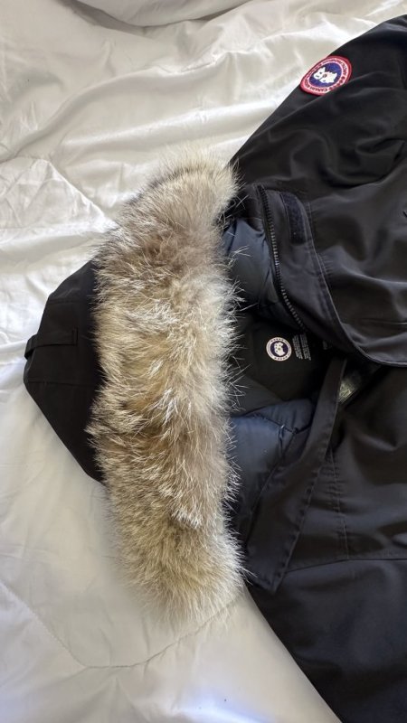 Tirane, shes Shitet Xhup origjinal Canada Goose wolf fur Masa L-XL 390 €