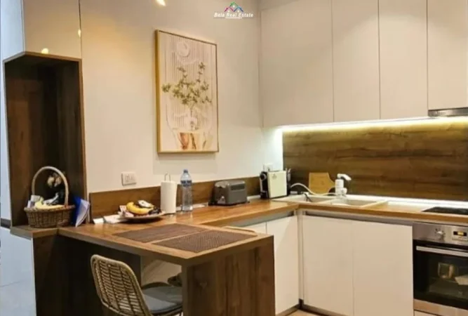 Tirane, jepet me qera apartament 1+1 Kati 1, 66 m² 600 € (Rruga Selite e Vjeter)