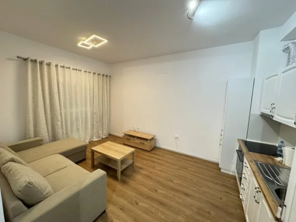 Tirane, jepet me qera apartament 1+1 Kati 1, 