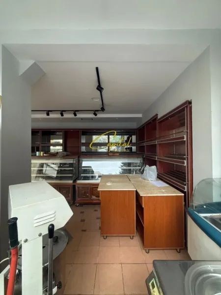 Tirane, jepet me qera dyqan Kati 0, 100 m² 800 € (KOPSHTI ZOOLOGJIK)