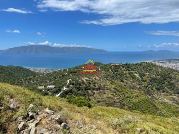 Vlore, shes toke 4.000 m² 70 Euro/m2 (Rruga Kanin,Vlore)