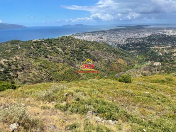 Vlore, shes toke 4.000 m² 70 Euro/m2 (Rruga Kanin,Vlore)