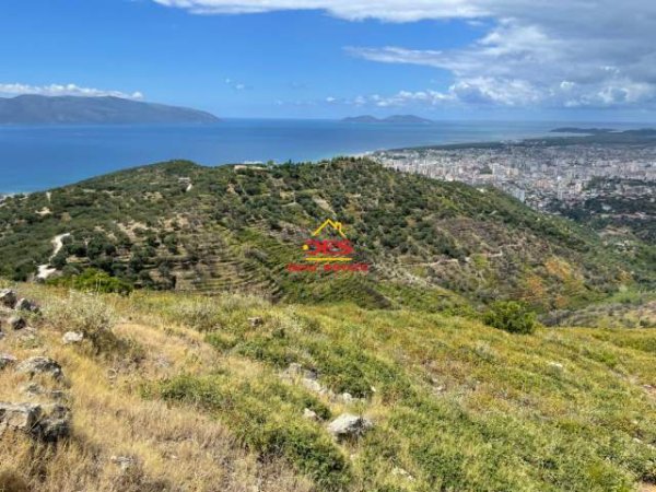 Vlore, shes toke 4.000 m² 70 Euro/m2 (Rruga Kanin,Vlore)