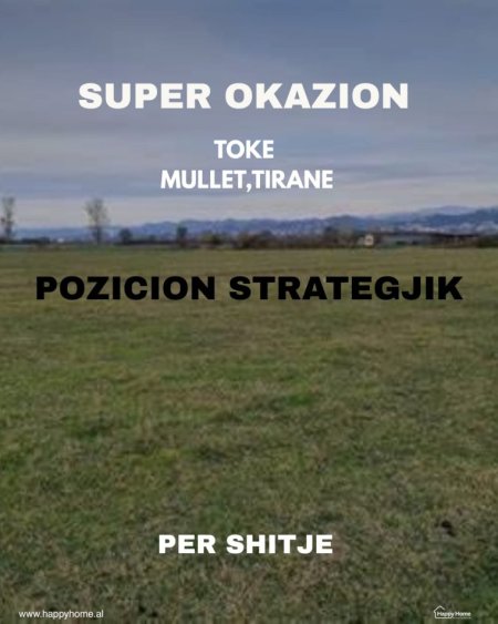 Tirane, shitet toke , 2.810 m²