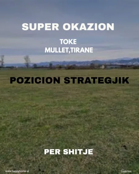 Tirane, shitet toke , 2.810 m²
