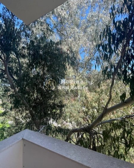 morina real estate copyright (6).jpeg