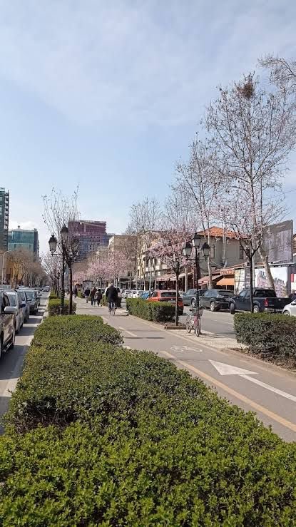 Tirane, shitet ambjent biznesi Kati 2, 110 m² 260.000 € (Rruga e Kavajes)