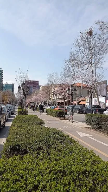 Tirane, shitet ambjent biznesi Kati 2, 110 m² 260.000 € (Rruga e Kavajes)