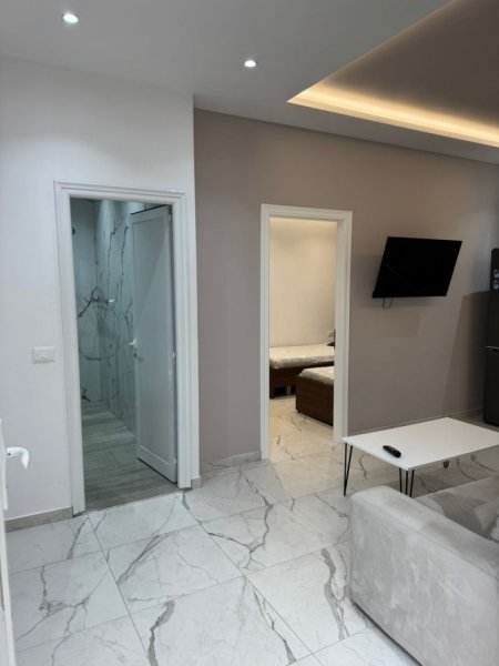 Tirane, jepet me qera apartament 1+1 Kati 0, 450 € (5 maji)