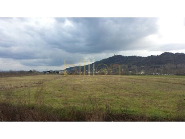 Shqiperi, shitet , 14.000 m² 220.000 € (FUSHË PREZË)