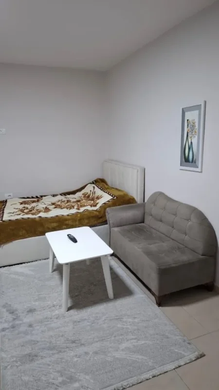 Tirane, jepet me qera apartament 1+1 Kati 1, 25 m² 350 € (21 dhjetori)